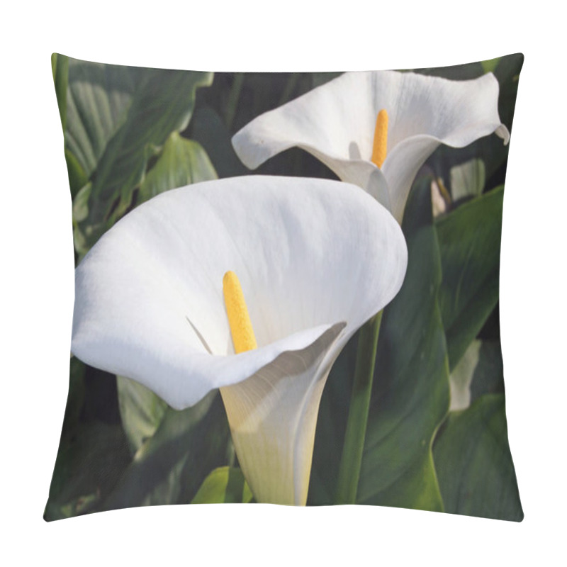 Personality  Exotic Calla Lily Flowers Petals, Flora And Botany Pillow Covers