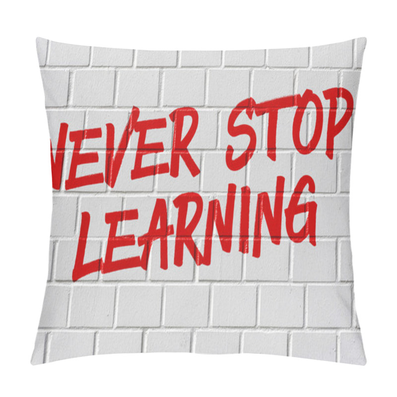 Personality  Graffiti On A Brick Wall - Never Stop Learning Pillow Covers