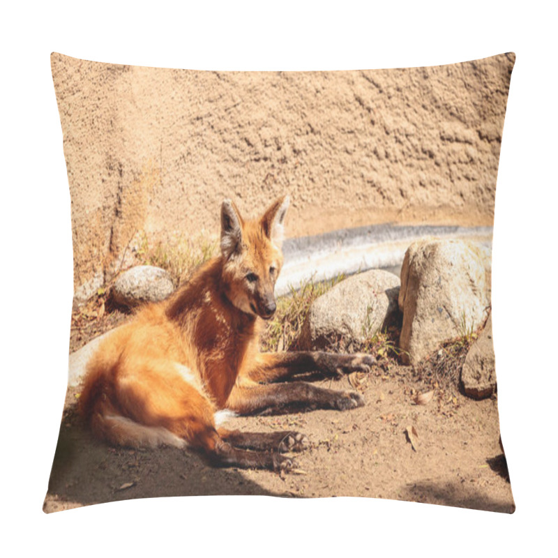 Personality  Maned Wolf Chrysocyon Brachyurus  Pillow Covers