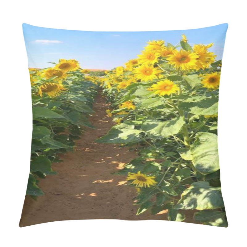 Personality  Vertical Screen :Sunflower Fields Host Vibrant Life, Sustaining Biofarm Ecosystem Balance. Each Sunflower Bloom Contributes To Biofarm Harmony Within Thriving Ecosystem Connections. Pillow Covers