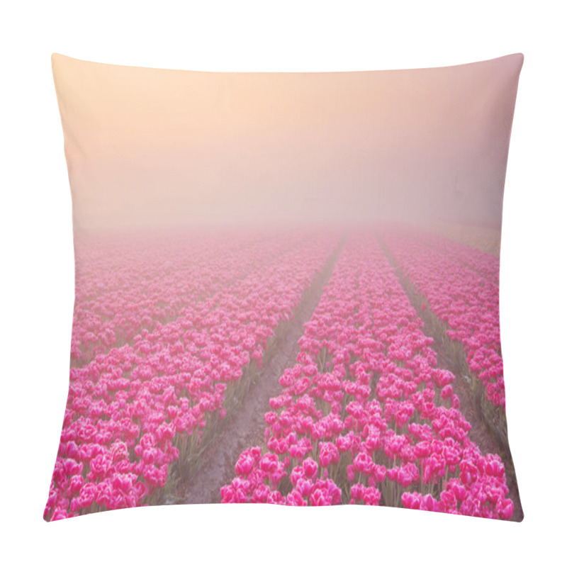 Personality  Sunrise And Fog Over Rows Of Blooming Tulips, The Netherlands Pillow Covers