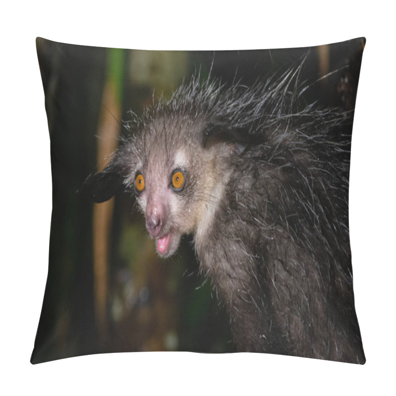 Personality  One Of The Rare Aye-Aye Lemur That Is Only Nocturnal Pillow Covers