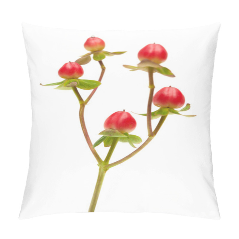 Personality  Hypericum Pillow Covers