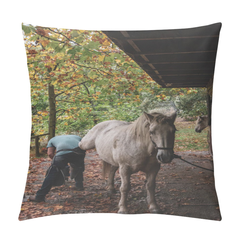 Personality  A Man Is Shoeing A Horse In A Stable With Autumn Leaves In The Background. Pillow Covers