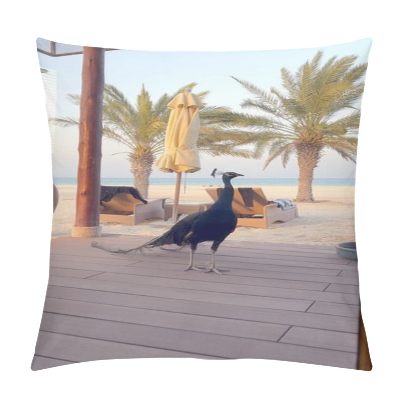 Personality  Peacock Standing Curiously Next To Beach House. Scene Captures Rare Interaction Of Vibrant Wildlife And Serene Coastal Living. Ideal For Themes Of Exotic Charm, Nature, And Beachside Tranquility. Pillow Covers