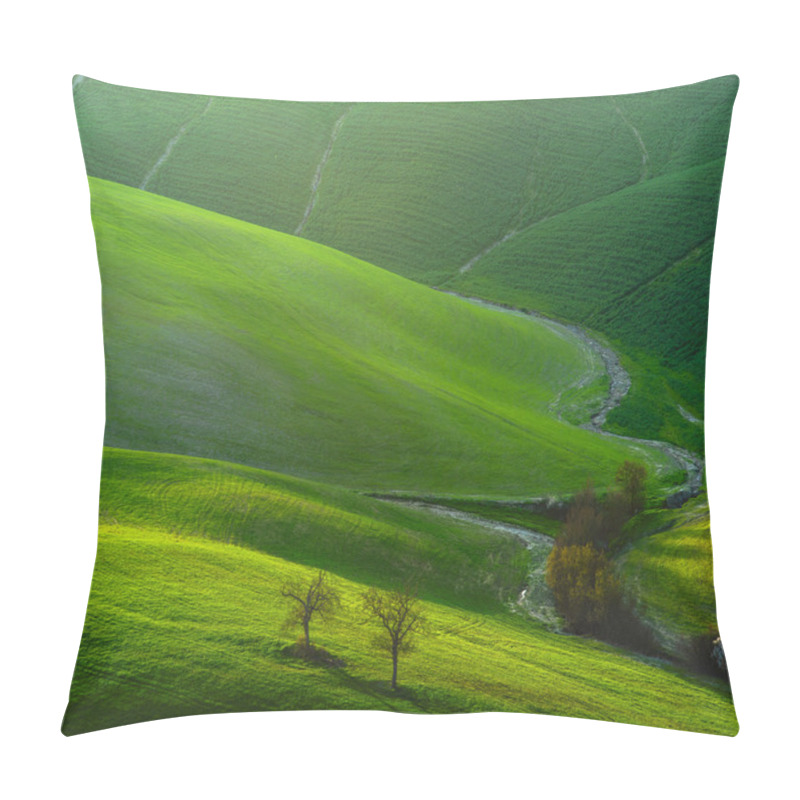 Personality  Tuscan Green Spring At Sunset, Italy Pillow Covers