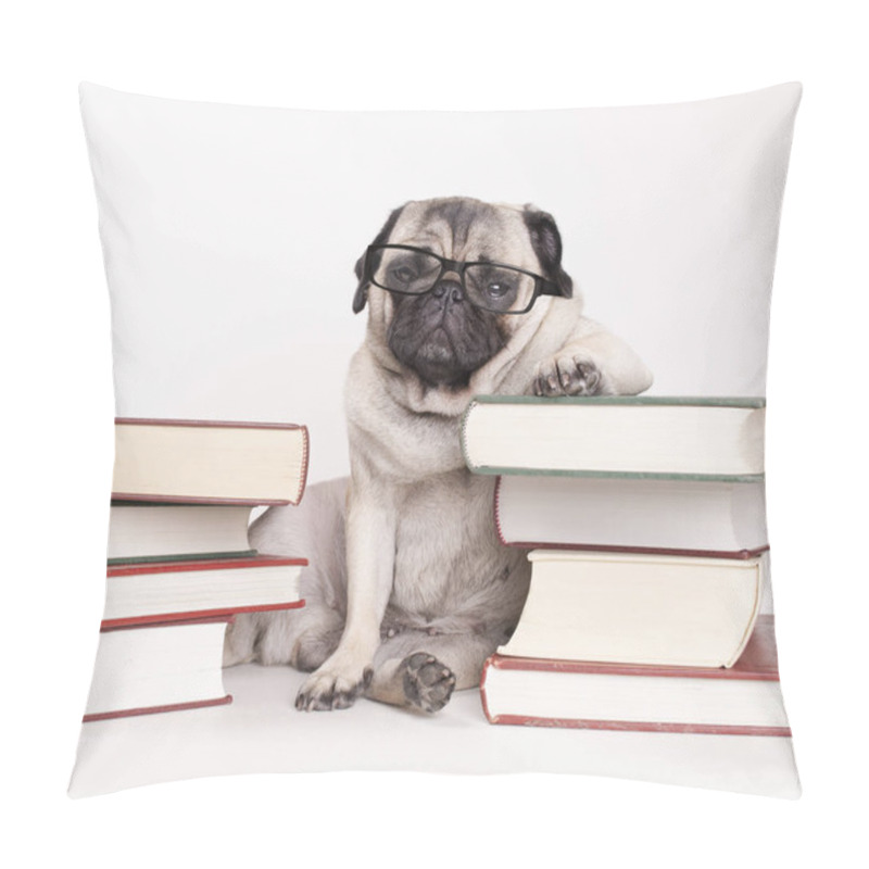 Personality  Smart Intelligent Pug Puppy Dog With Reading Glasses, Sitting Down Between Piles Of Books, On White Background Pillow Covers