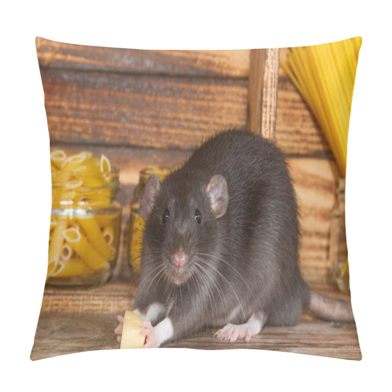 Personality  The Black Fluffy Rat Is A Symbol Of 2020. The Animal Is Sitting In A Wooden House. On The Shelves Are Banks With Pasta And Cereals. A Rat Chewing On Cheese.  Pillow Covers