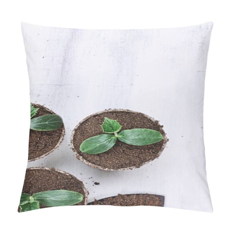 Personality  Cucumber Seedlings In Peat Pots And Hand Trowel Pillow Covers