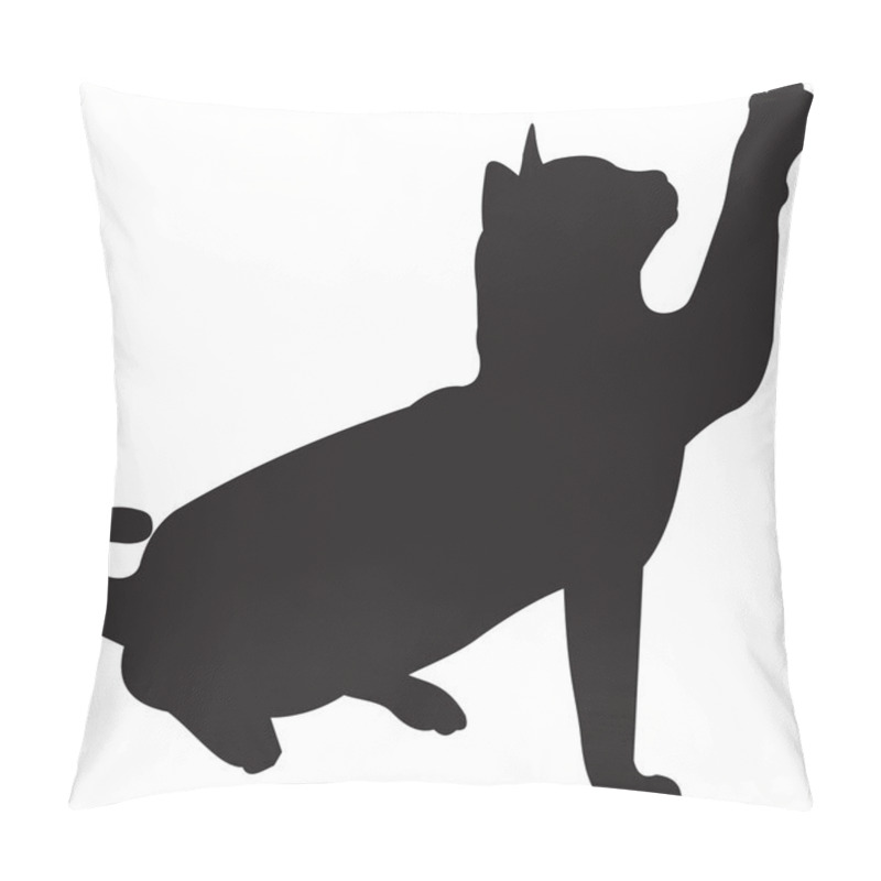 Personality  Cat Vector Pillow Covers