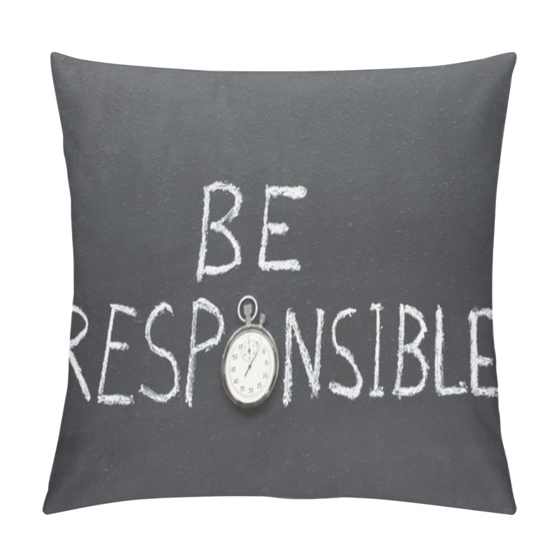 Personality  Be Responsible Pillow Covers