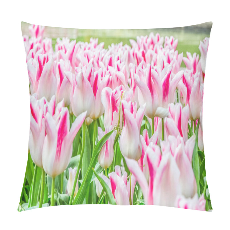 Personality  White Tulip Flowers On The Garden Pillow Covers