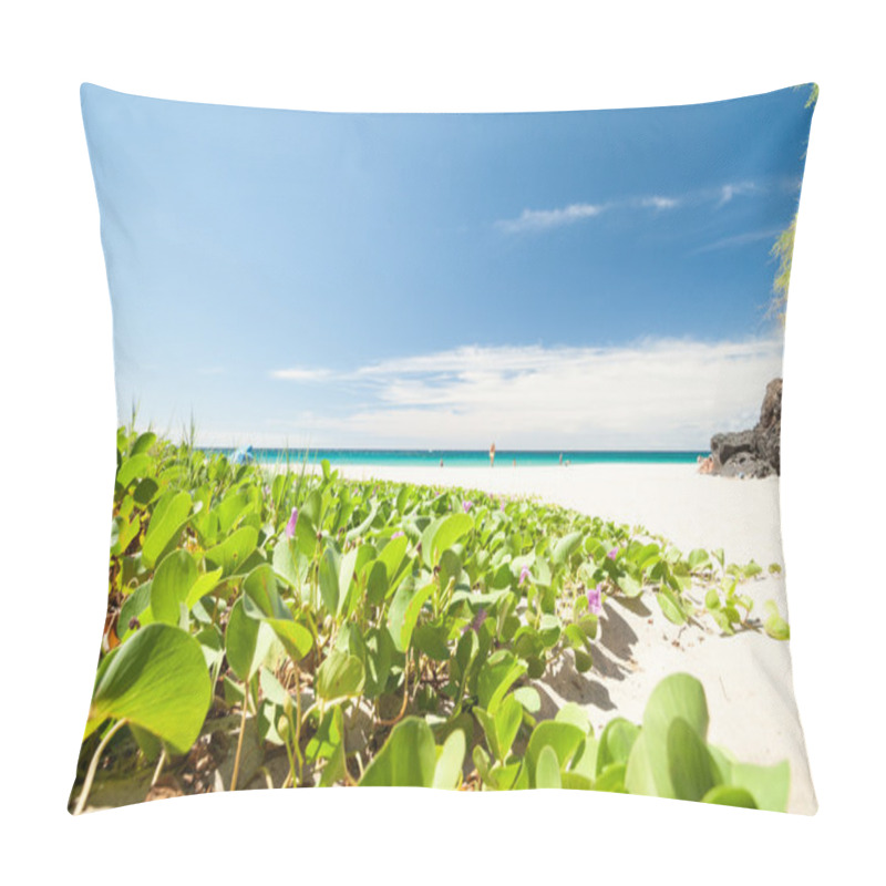 Personality  Tropical Beach Scene, Hawaii. Pillow Covers