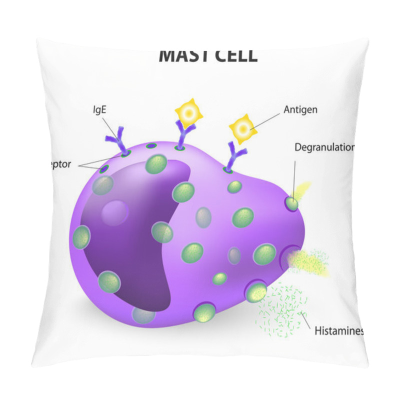 Personality  Mast Cell Or A Mastocyte, Labrocyte Pillow Covers