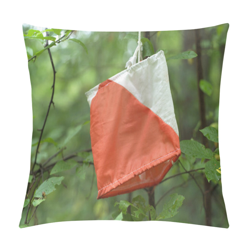 Personality  Orienteering Pillow Covers