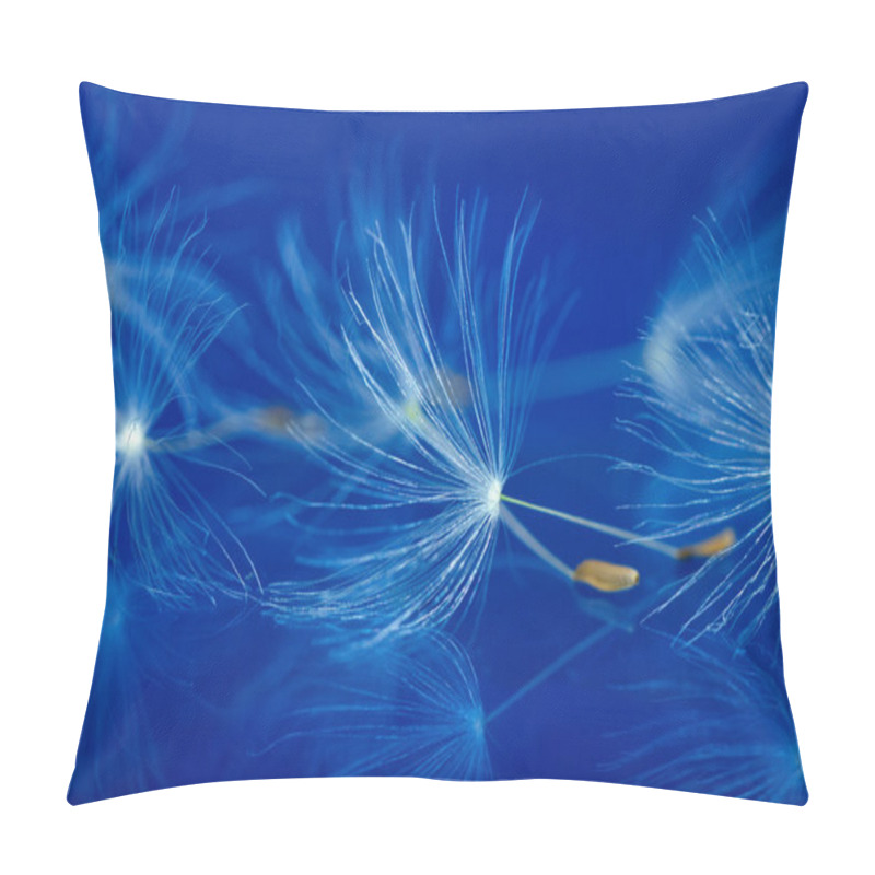 Personality  Blowball Pillow Covers