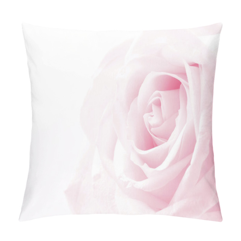 Personality  Pink Rose Close Up As Wedding Background. Soft Focus.  Pillow Covers