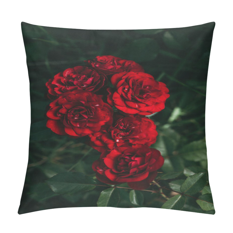 Personality  Close Up View Of Beautiful Red Roses Pillow Covers