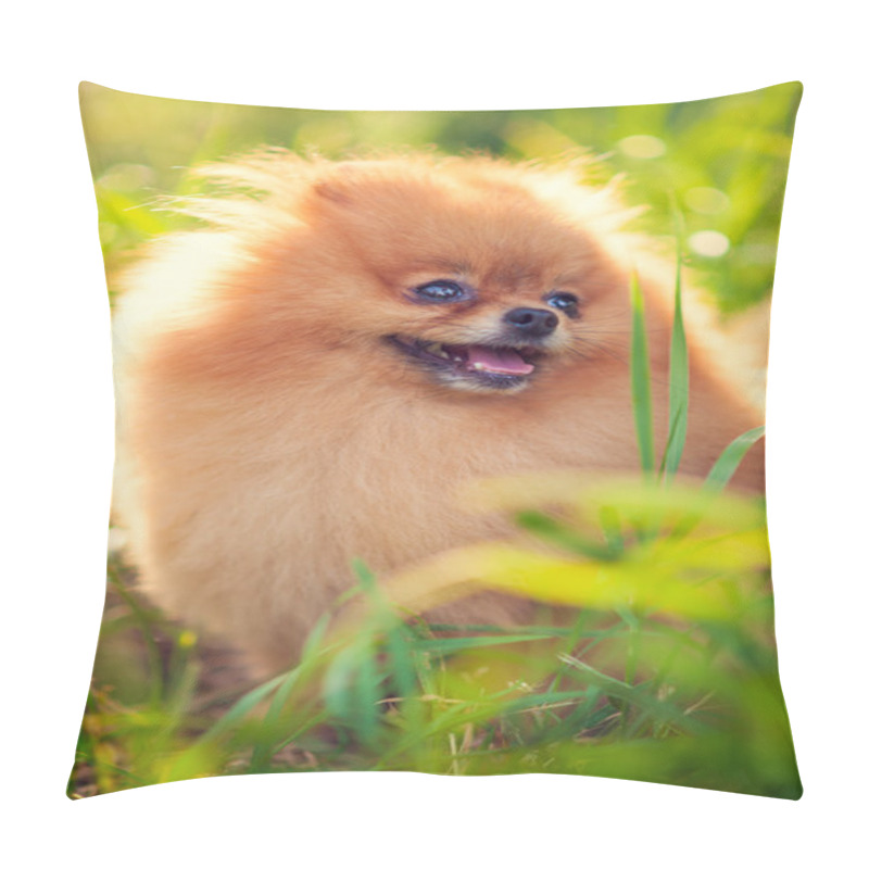 Personality  Spitz Pillow Covers