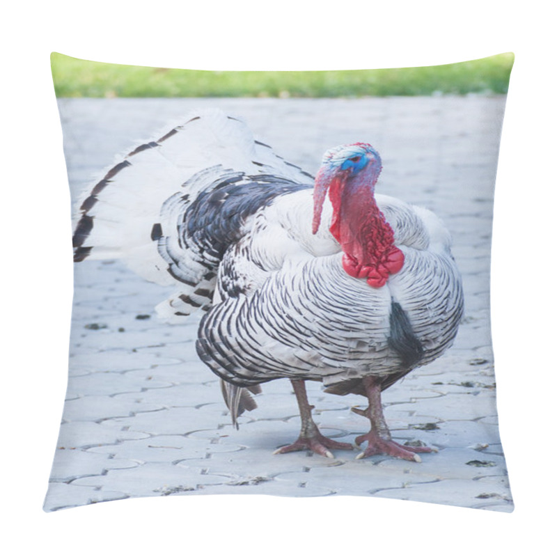 Personality  Large Male Turkey In Natural Surroundings Pillow Covers