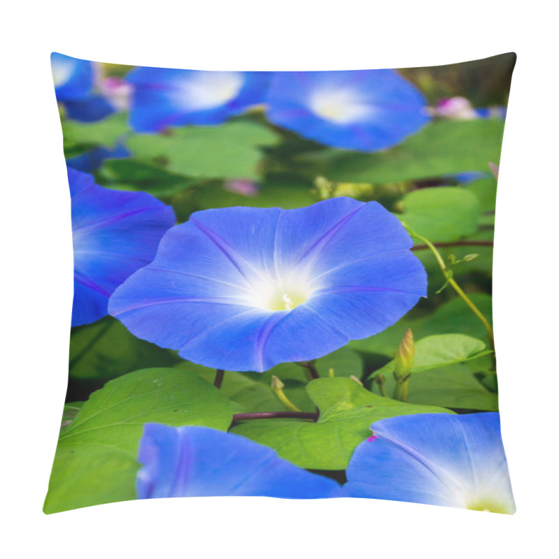 Personality  Blue Morning Glory Pillow Covers