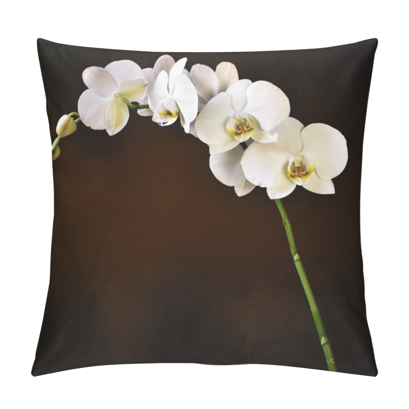 Personality  Phalaenopsis Aphrodite Orchid Pillow Covers