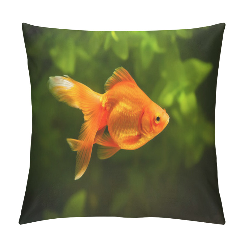 Personality  Goldfish In Aquarium With Green Plants, And Stones Pillow Covers