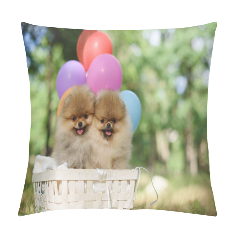 Personality  Happy Spitz Puppies In A Basket With Balloons Pillow Covers