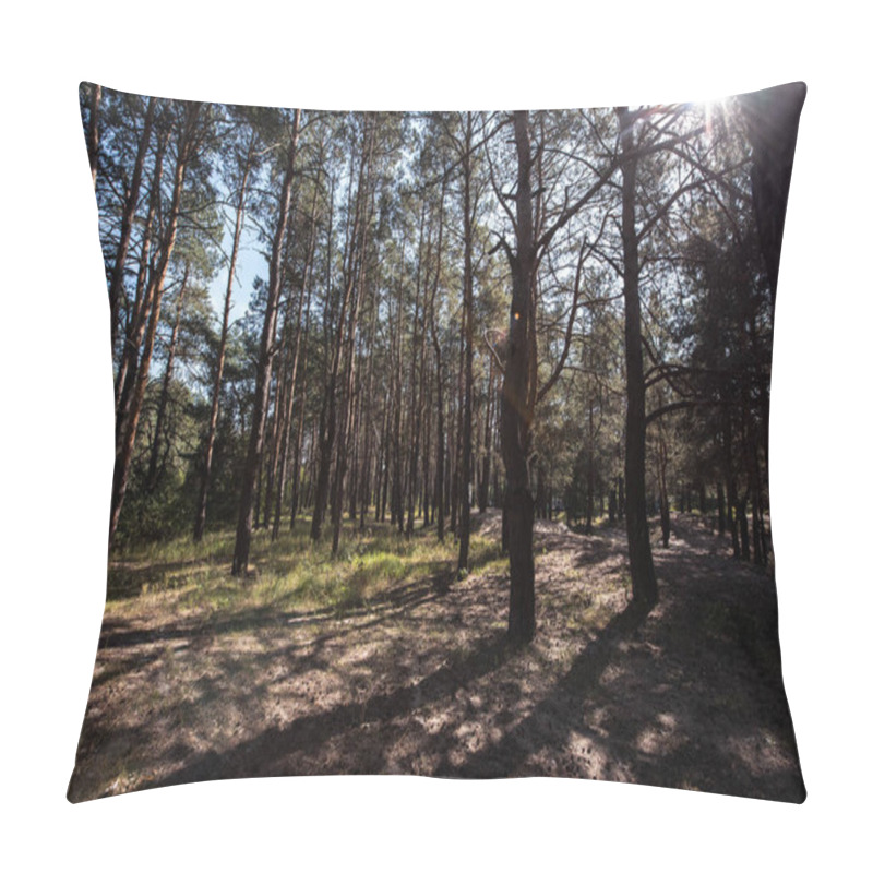 Personality  View Of Forest With Sun Flare Between Pine Trees Pillow Covers