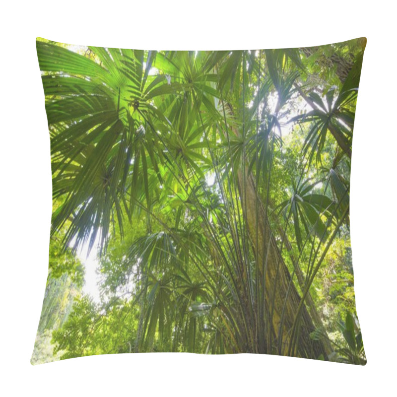 Personality  Southeast Asian Tropical Jungle Pillow Covers