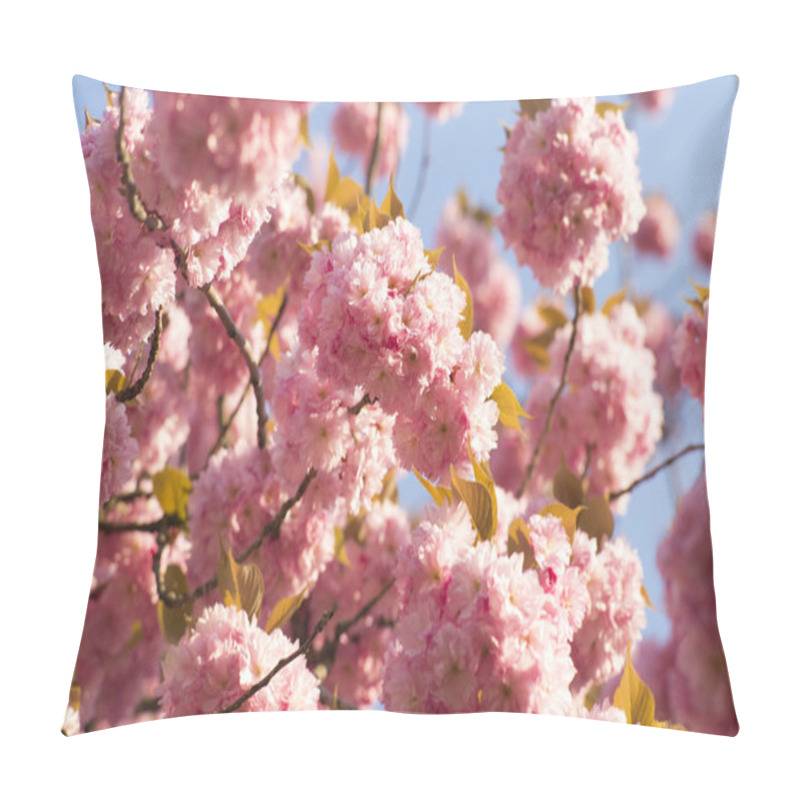 Personality  Springtime Blossom Pillow Covers