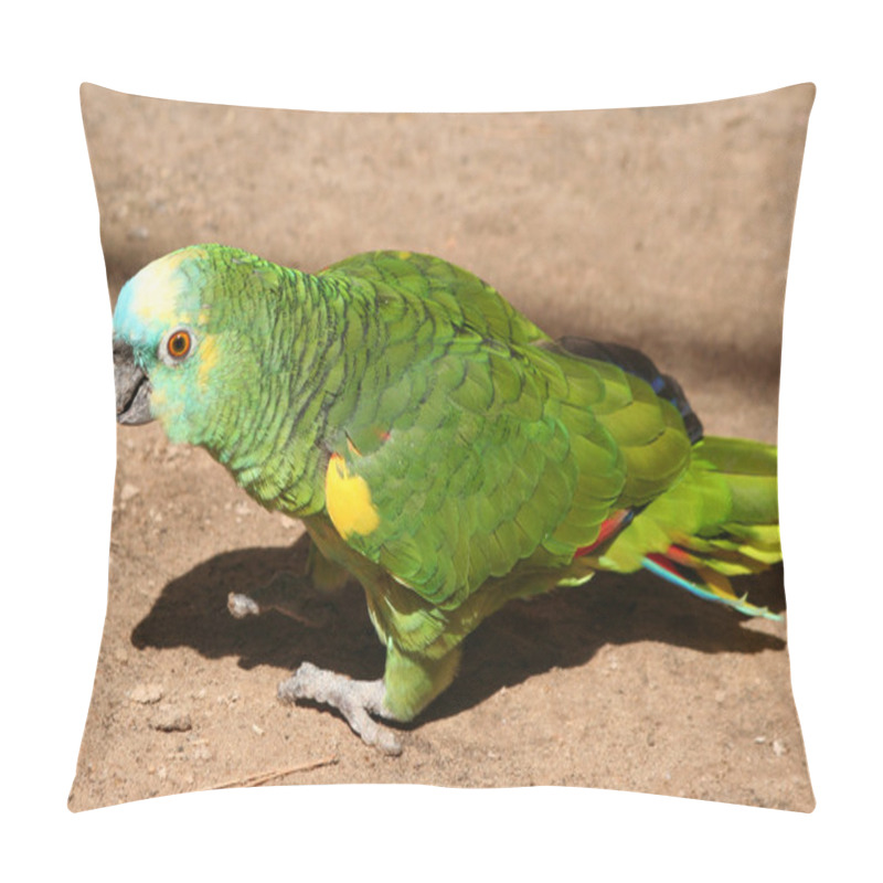 Personality  Beautiful Green Parrot Pillow Covers