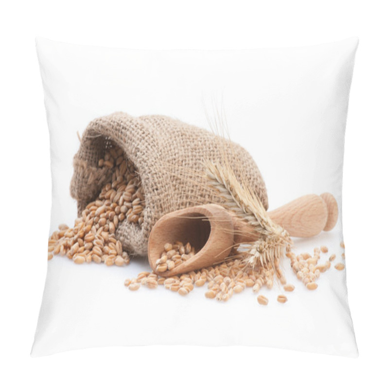 Personality  Seed In Small Burlap Sack Pillow Covers