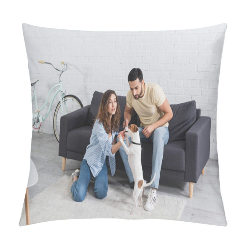 Personality  Smiling Woman Feeding Jack Russell Terrier Near Muslim Boyfriend  Pillow Covers