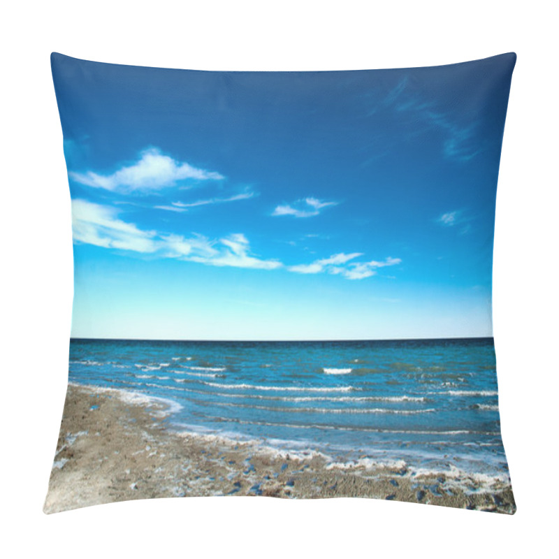 Personality  Clay Beach Without People Of The Aral Sea, Uzbekistan Pillow Covers