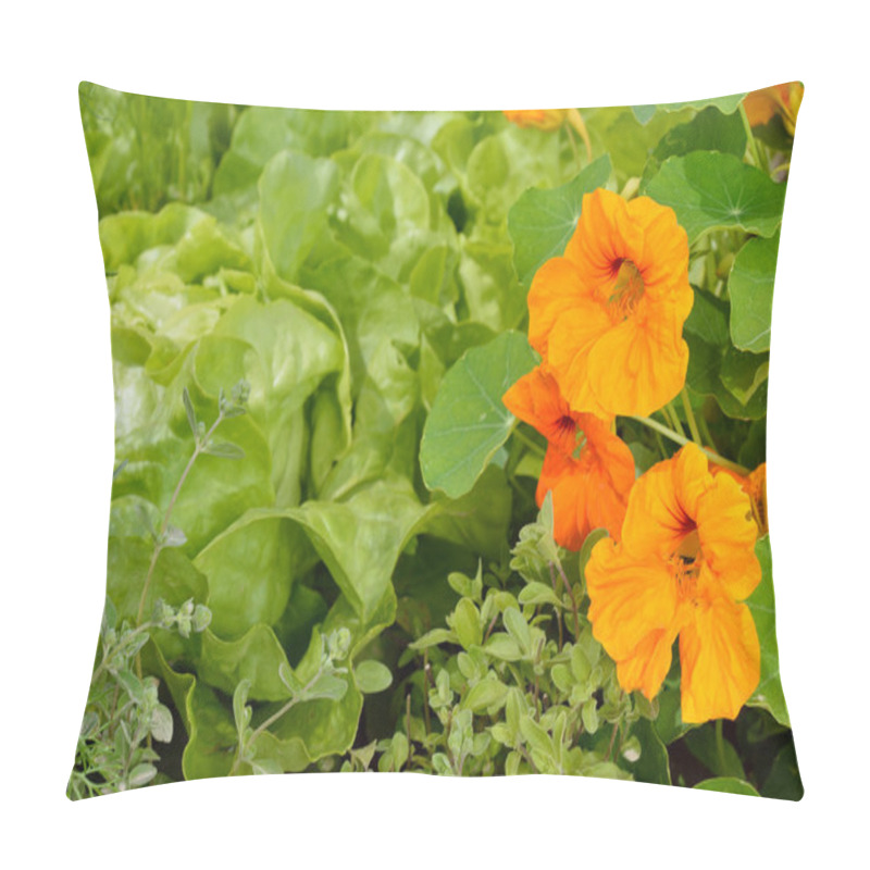 Personality  Edible Plants In An Organic Garden. Pillow Covers