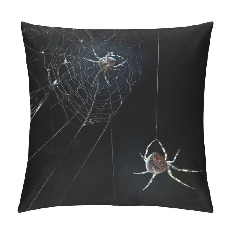 Personality  Party Spiders In Halloween Night Pillow Covers