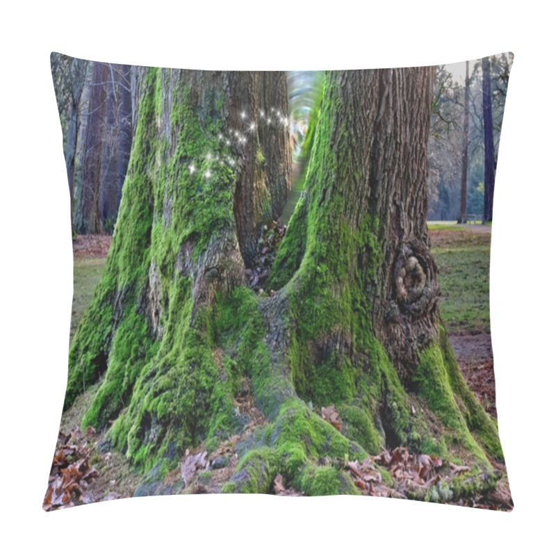 Personality  Portal Doorway With Fairies In Mossy Tree Pillow Covers