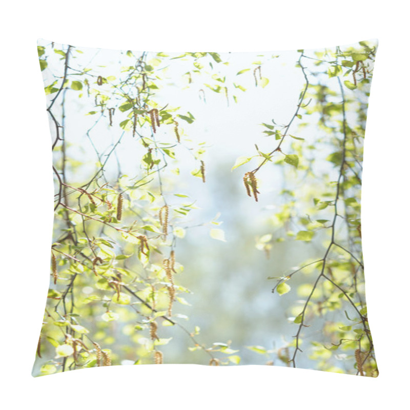 Personality  Natural Background With Fresh Spring Twig Of Birch In Selective Focus Pillow Covers