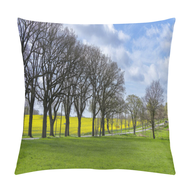 Personality  Landscape On Rgen, Mecklenburg-Western Pomerania, Germany Pillow Covers