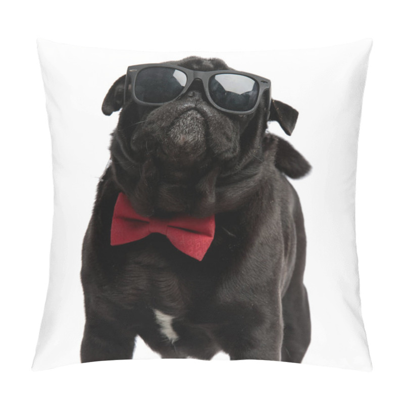 Personality  Cool Pug Bravely Looking Forward Pillow Covers