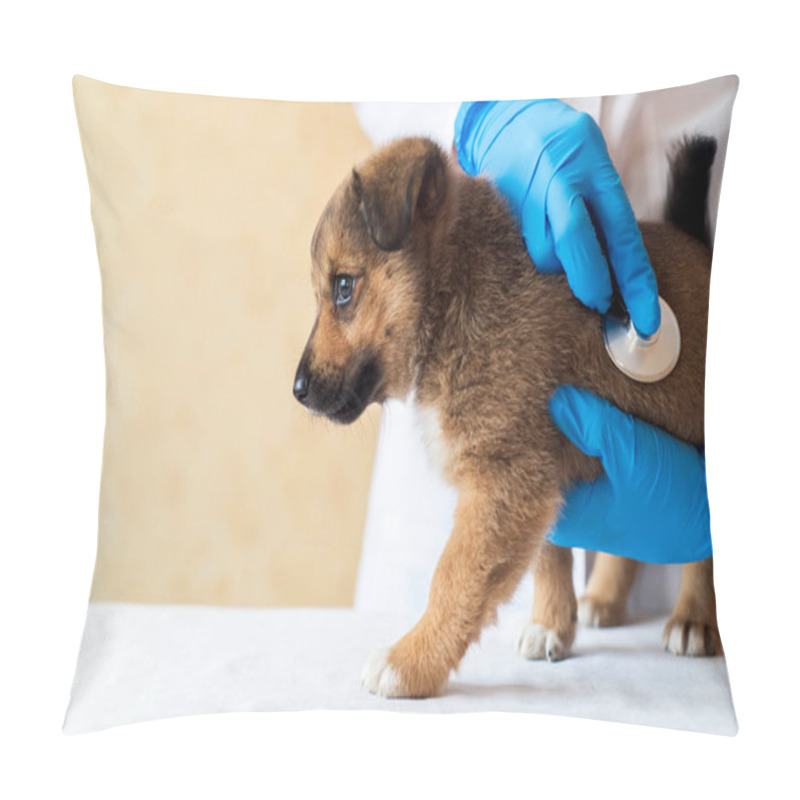 Personality  Female Vet Holding Cute Puppy In Hospital. Pillow Covers