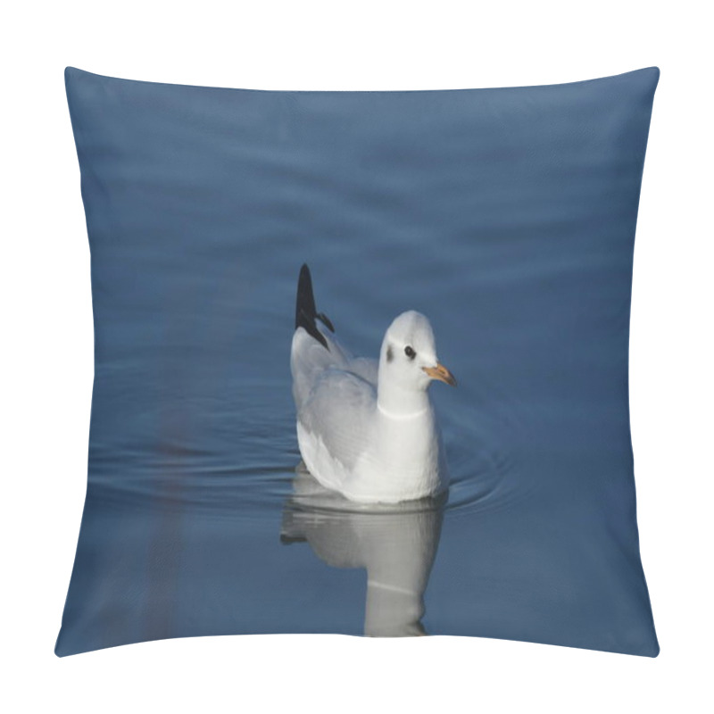 Personality  Black-headed Gull -  (Chroicocephalus Ridibundus)  Pillow Covers