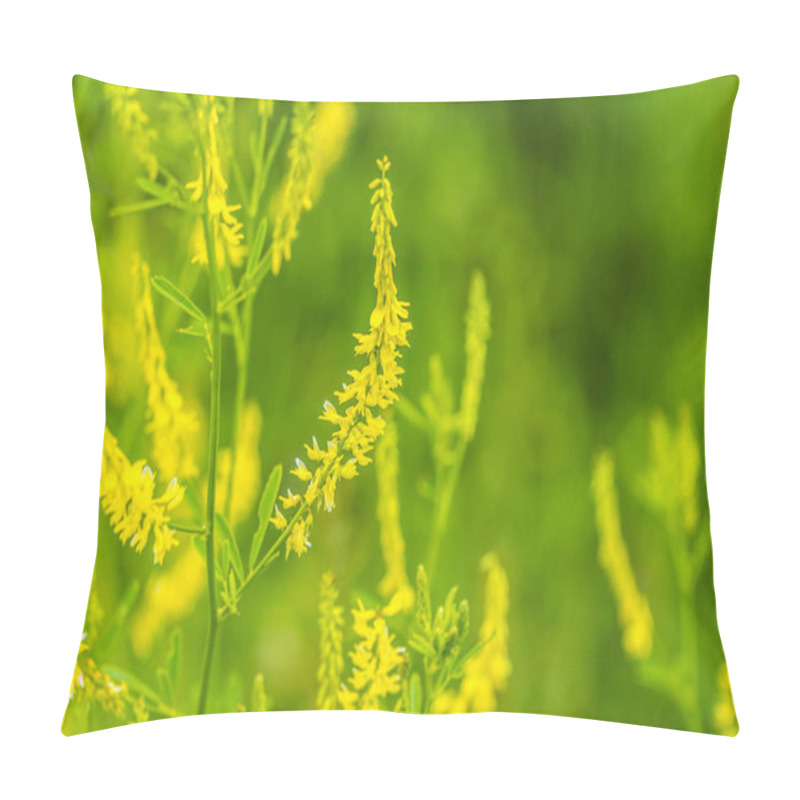 Personality  Yellow Sweet Clover Blooms. Bright Summer Background Pillow Covers