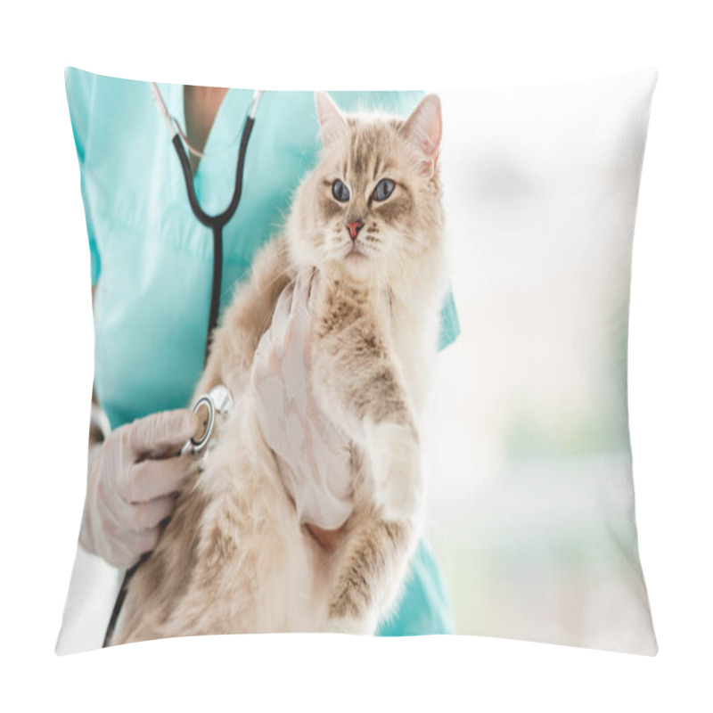 Personality  Woman Veterinarian Holding Fluffy Ragdoll Cat With Blue Eyes And Examining It During Medical Care Procedures At Vet Clinic. Portrait Of Adorable Purebred Feline Pet In Animal Hospital Pillow Covers