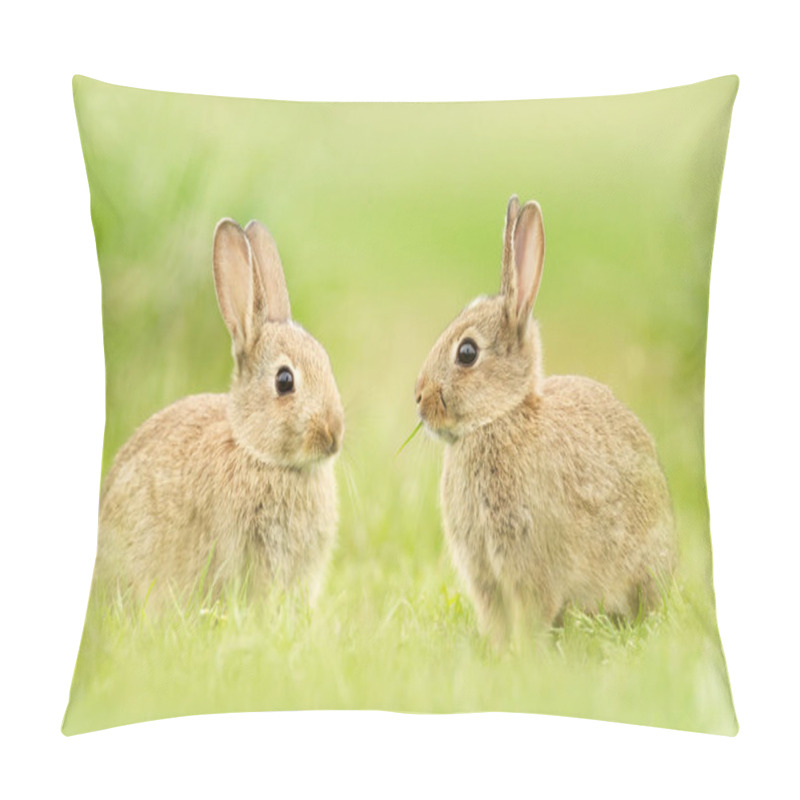 Personality  Close Up Of Two Cute Little Rabbits In Meadow, UK. Pillow Covers