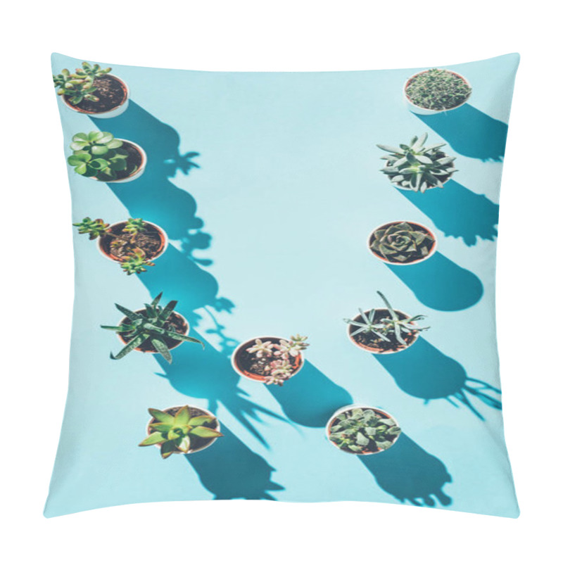 Personality  Top View Of Letter W Made From Green Potted Plants On Blue Pillow Covers