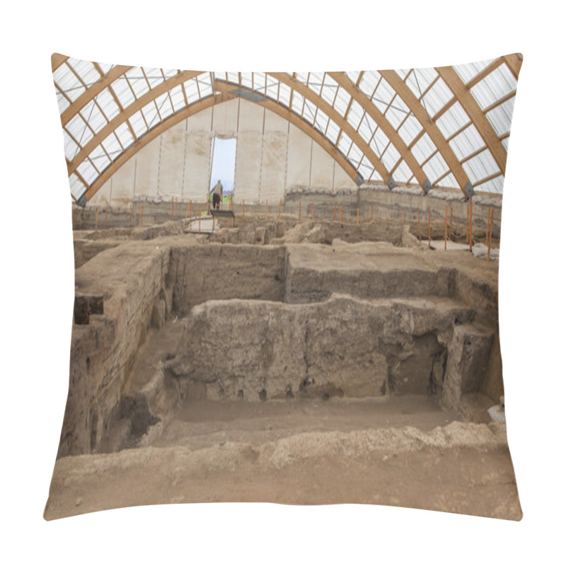 Personality  Catalhoyuk, Konya Pillow Covers