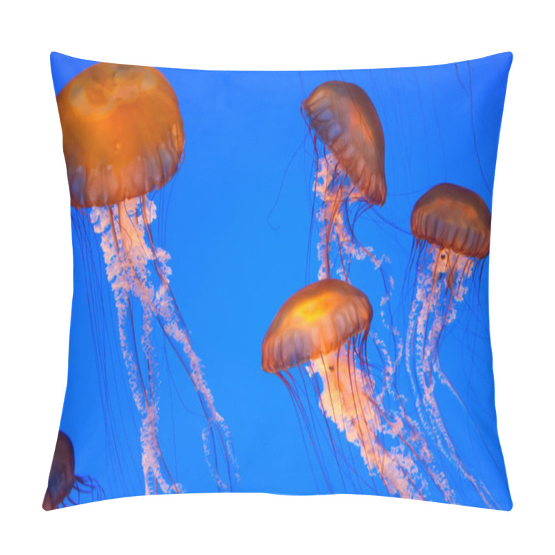 Personality  Chrysaora Fuscescens Jellyfish Pillow Covers