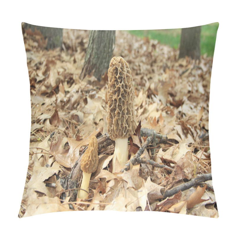 Personality  Close-up Of A Huge Morel Mushrooms In The Wild Pillow Covers